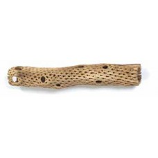 CHOLLA LOG 2"-4" x 16"-